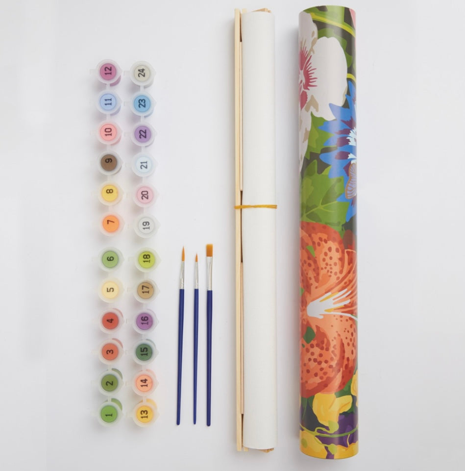 RHS Meadow Paint By Numbers Wall Hanging Kit