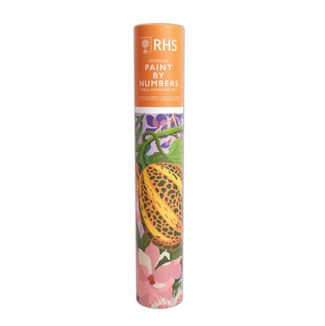 RHS Tropical Paint By Numbers Wall Hanging Kit
