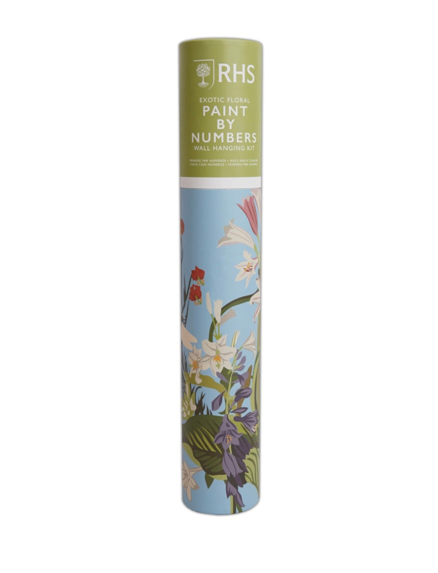 RHS Exotic Floral Paint By Numbers Wall Hanging Kit