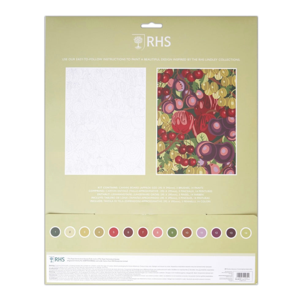 RHS English Fruits Paint By Numbers