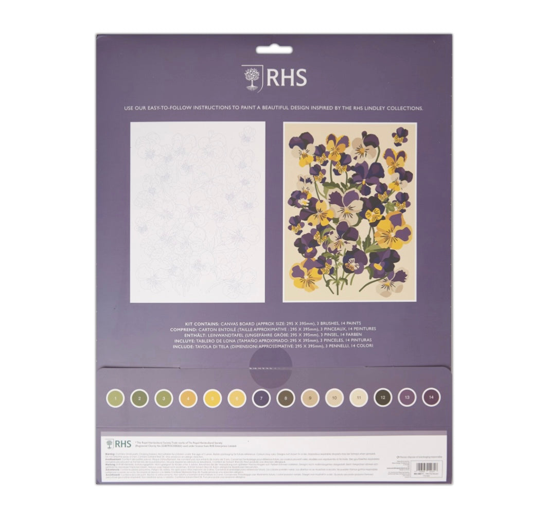 RHS Pansies Paint By Numbers