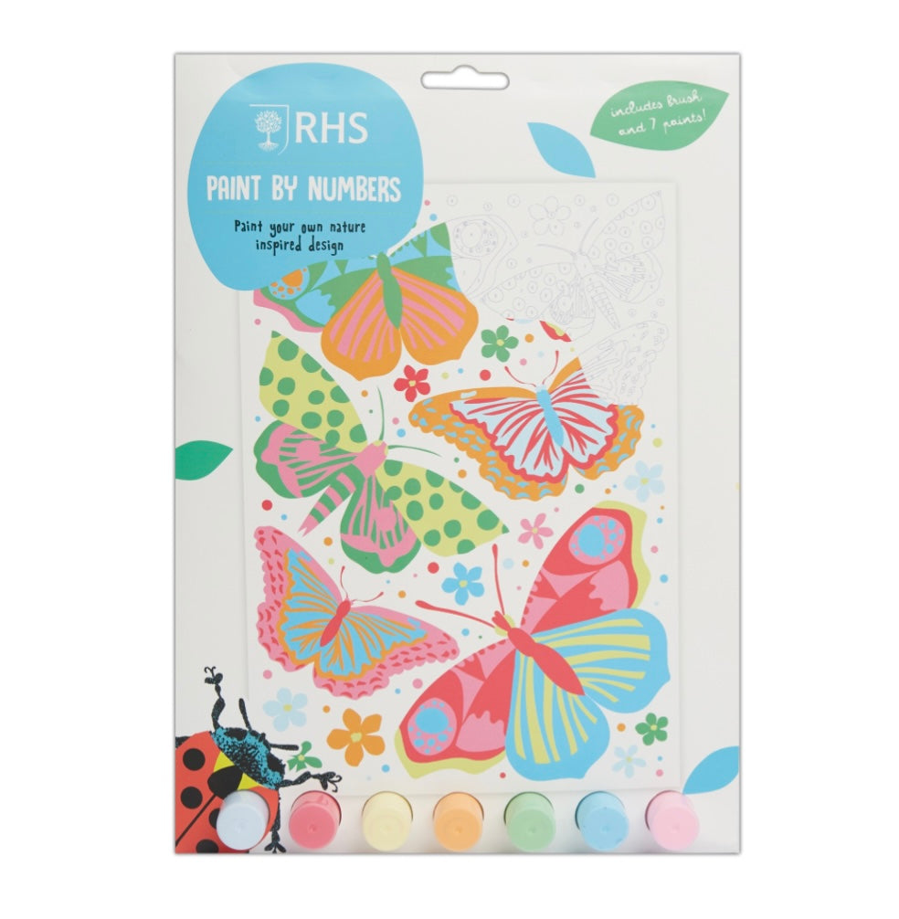 RHS Butterflies Childs Paint By Numbers