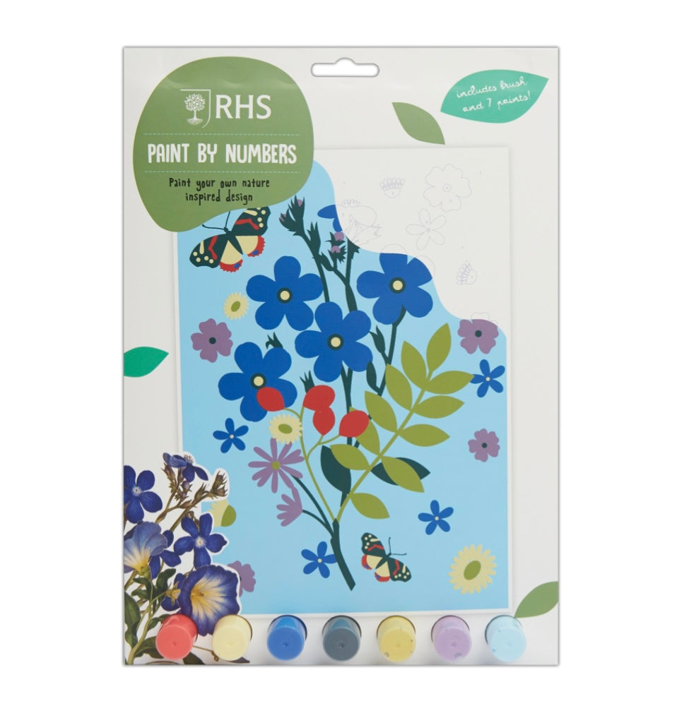 RHS Bloom Childs Paint By Numbers
