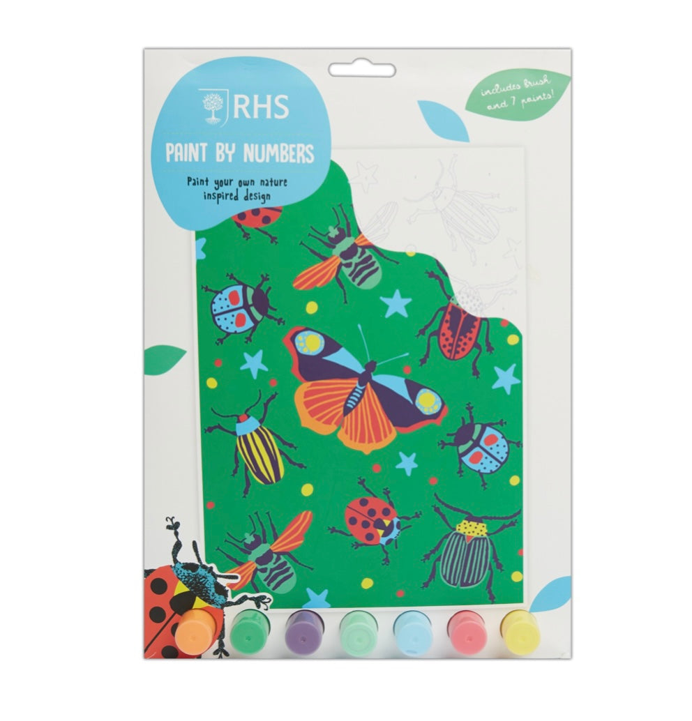 RHS Bugs Childs Paint By Numbers