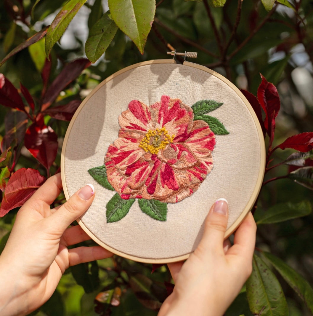 RHS Plant Study Embroidery Kit