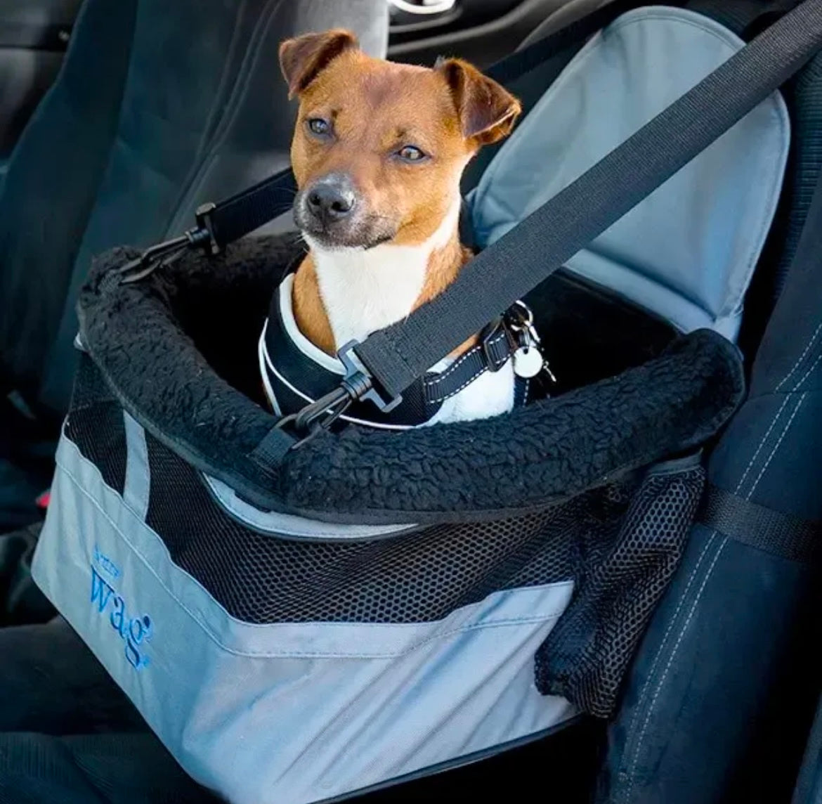Car Booster Seat