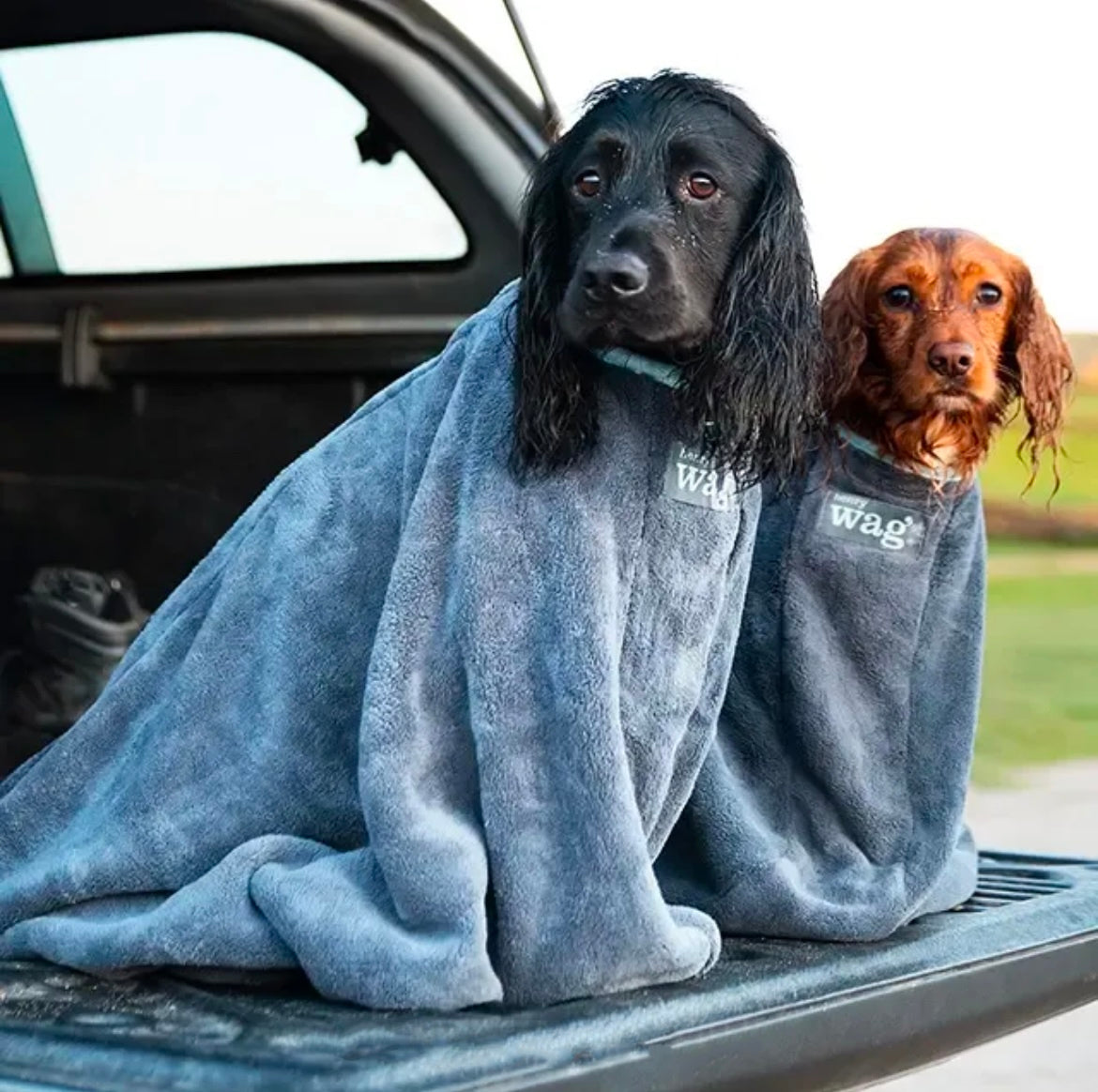 Dog Drying Bag