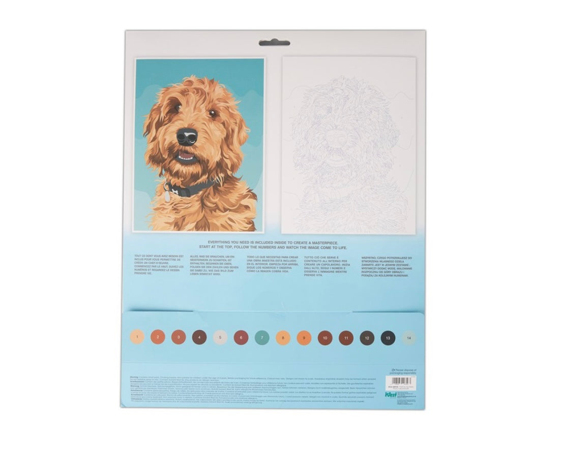 Playful Labradoodle Paint By Numbers