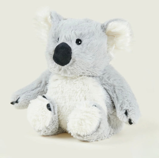 Kiwi the Koala