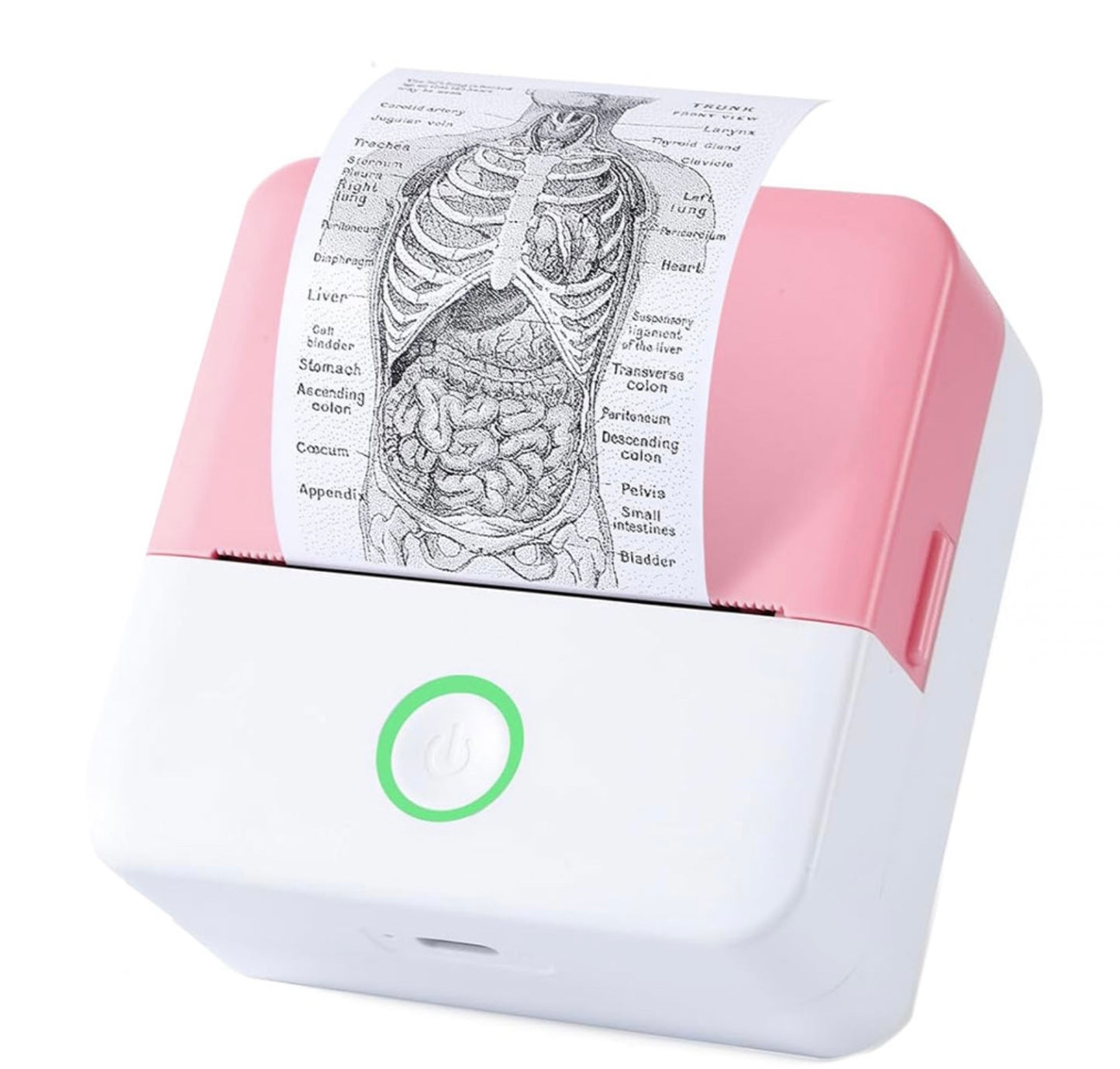 Mini Wireless Thermal Printer