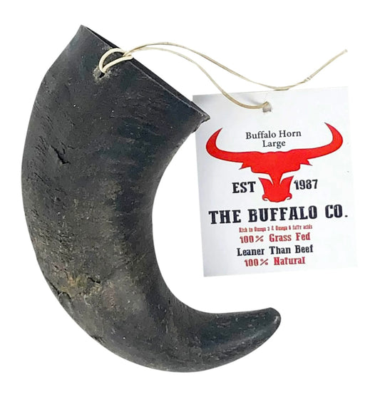 Large Buffalo Horn (6-8inches)