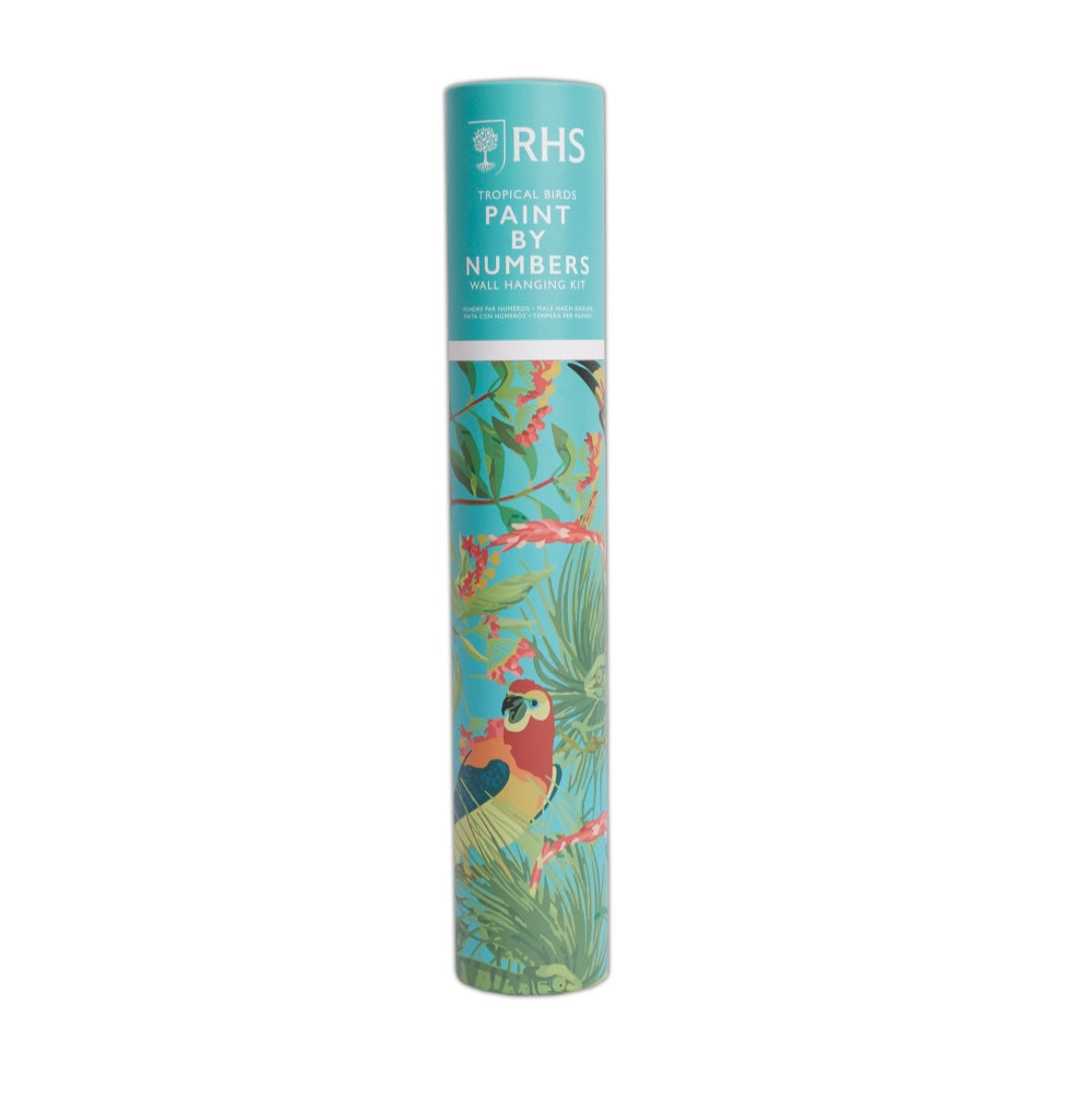 RHS Tropical Birds Paint By Numbers Wall Hanging Kit