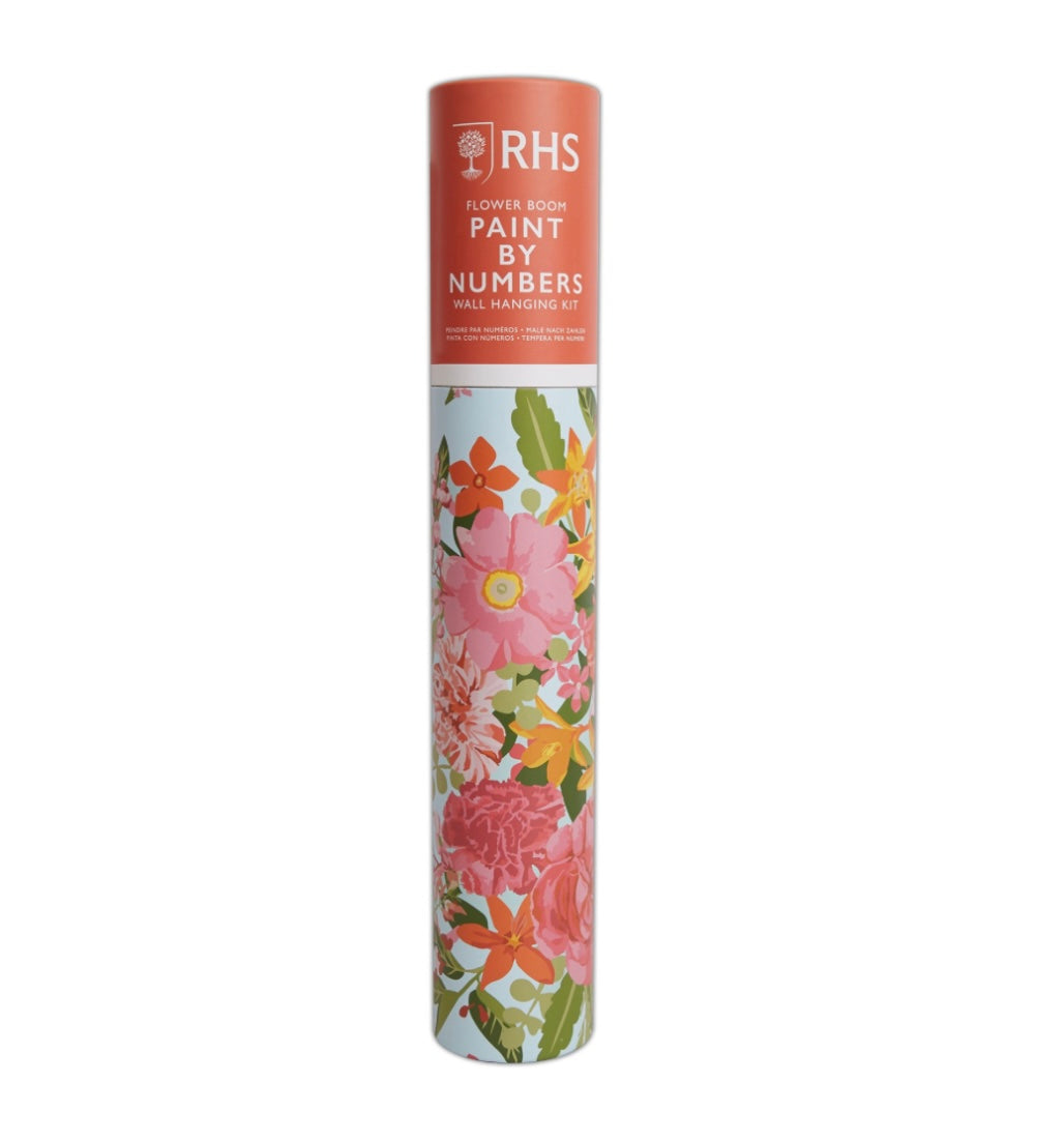 RHS Flower Bloom Paint By Numbers Wall Hanging Kit