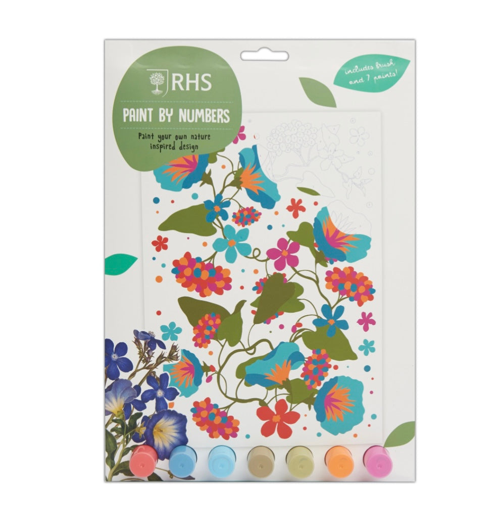 RHS Petunias Childs Paint By Numbers