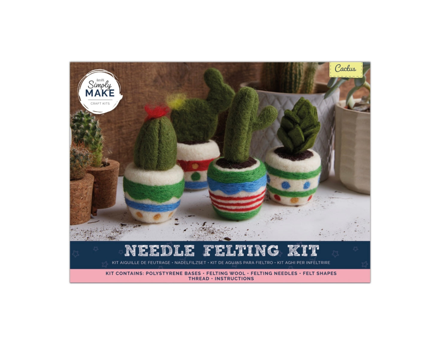 Cactus Felting Kit